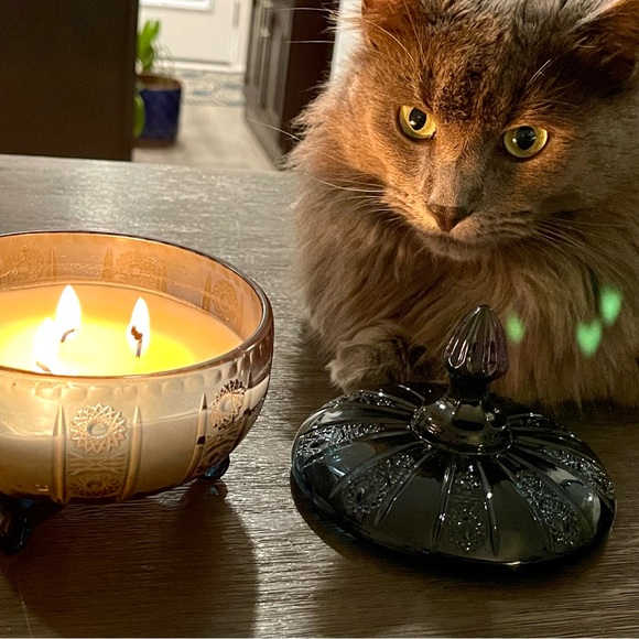 ‼️LIVE SHOW NOTIFICATION POST!‼️ - Picture 5 of 5